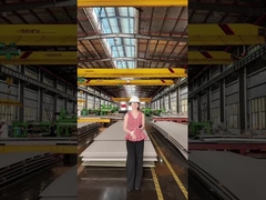 কোন প্লেটটি ভালো, টাইটানিয়াম নাকি স্টেইনলেস স্টিল?